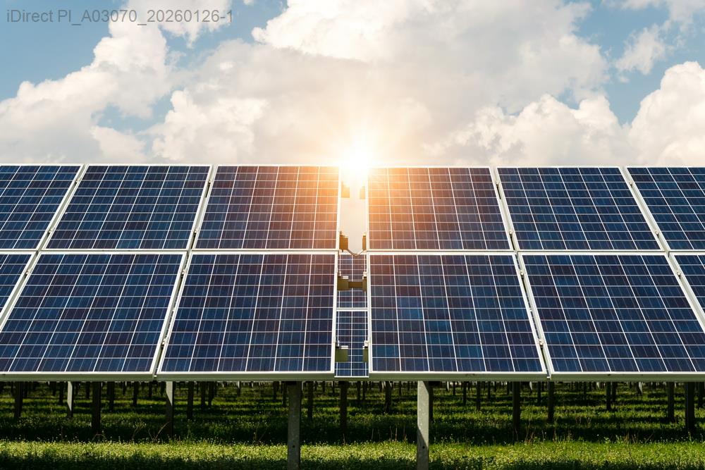 永續生活的小秘密：這些習慣能讓地球跟你都輕鬆一些？